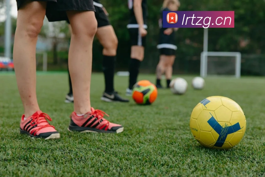 mk体育官网中国官方网服务体系